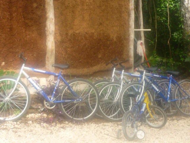 bicis para la familia